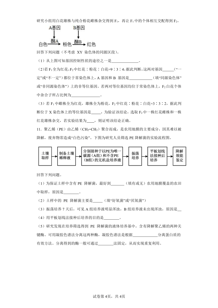 2024届云南省昆明市高三“三诊一模”测试生物试题（解析版）