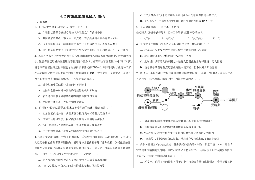 4.2关注生殖性克隆人 练习2023-2024学年高二下学期生物人教版选择性必修3（解析版）