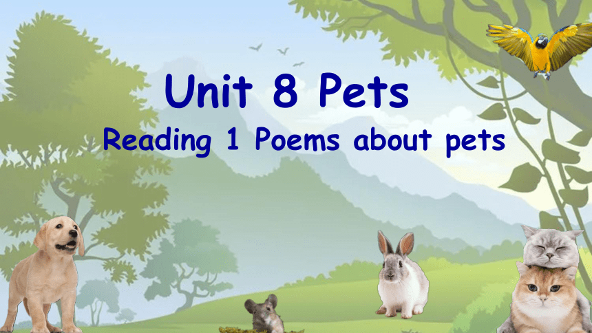 Unit 8 Pets Reading1课件（牛津译林版七年级下册）