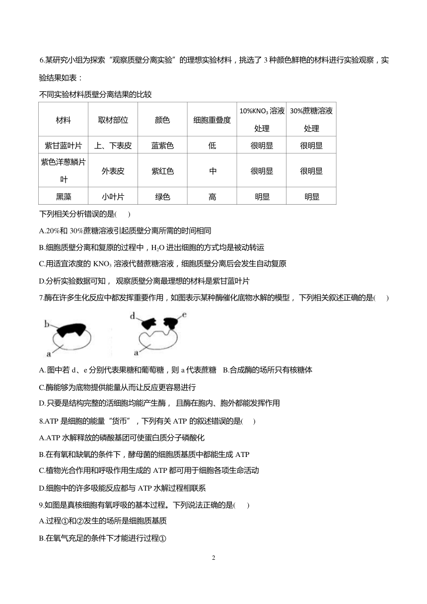 湖南省株洲市第十三中学2023-2024学年高一下学期开学考试生物试题（无答案）