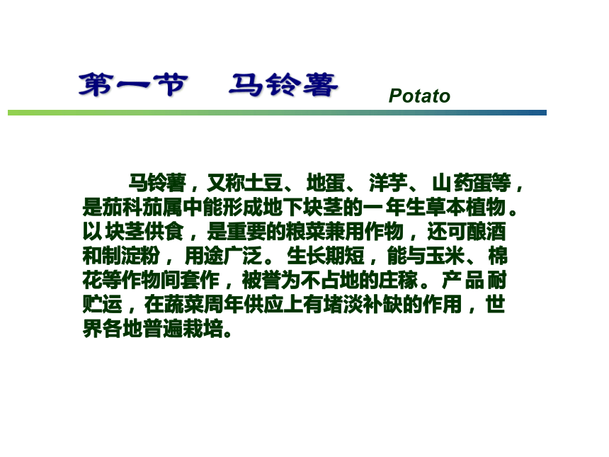 12.1 马铃薯 课件(共41张PPT)- 《蔬菜生产技术(南方本)》同步教学（中国农业大学出版社）