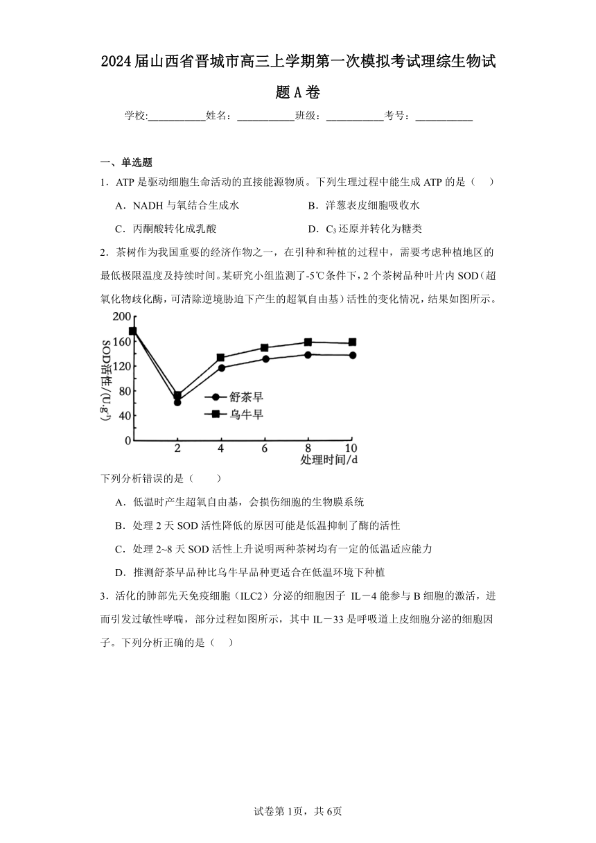 2024届山西省晋城市高三上学期第一次模拟考试理综生物试题A卷（解析版）