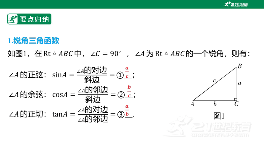 4.10 锐角三角函数 2024年中考一轮复习课件（共22张PPT）