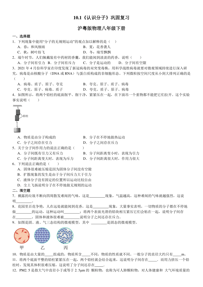 10.1《认识分子》练习（含答案） 2023-2024学年沪粤版物理八年级下册