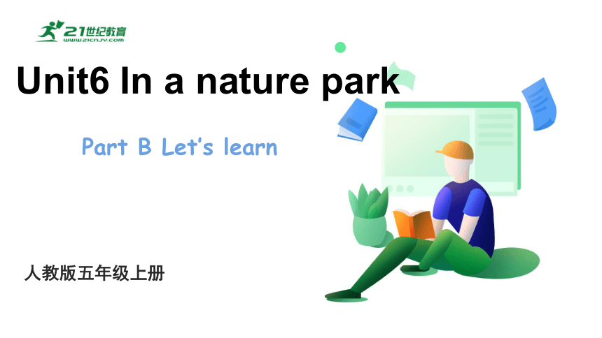 Unit6 In a nature park PartB Let‘s learn 课件(共34张PPT)