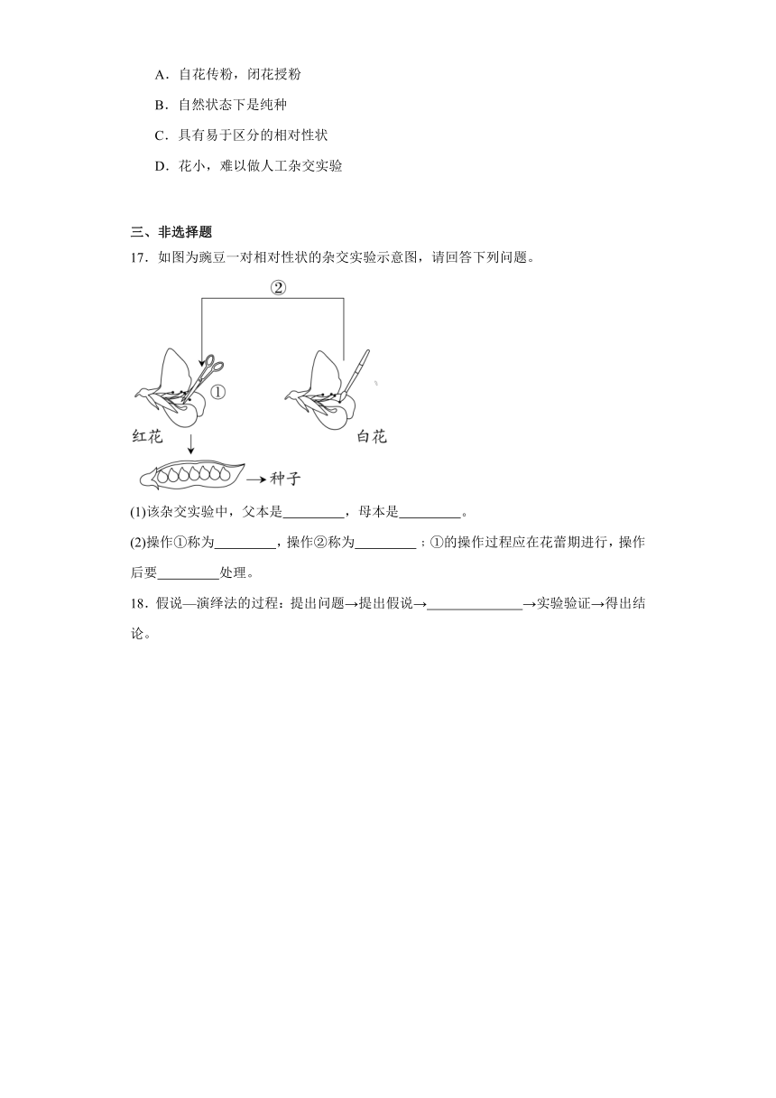 1.2.2孟德尔获得成功的原因（必刷练）-2023-2024学年高一生物（苏教版2019必修2）（含解析）