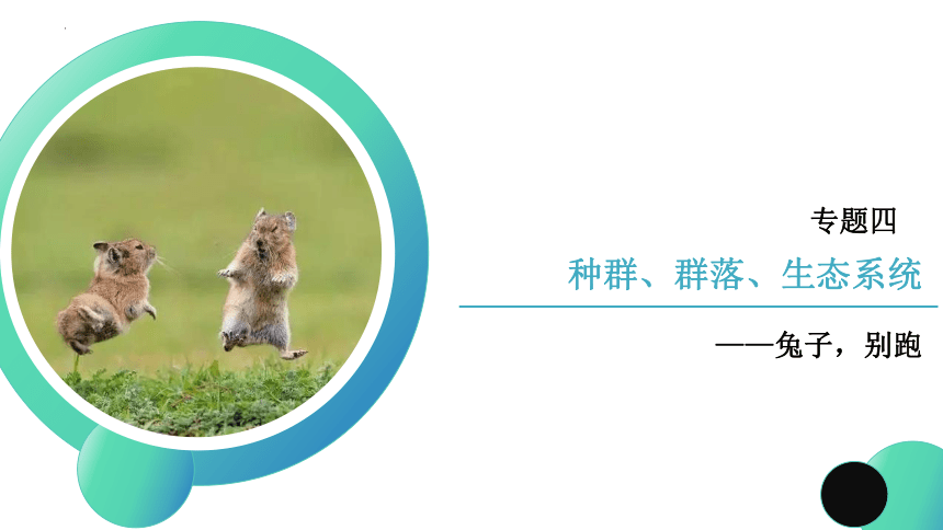 2024届高三二轮专项复习课件：以高原鼠兔为情境——种群群落生态系统综合复习(共22张PPT)