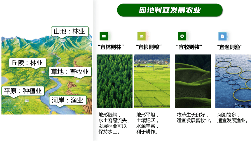 人教版地理 八年级上册第四章第二节 中国的农业  课件(32张PPT)