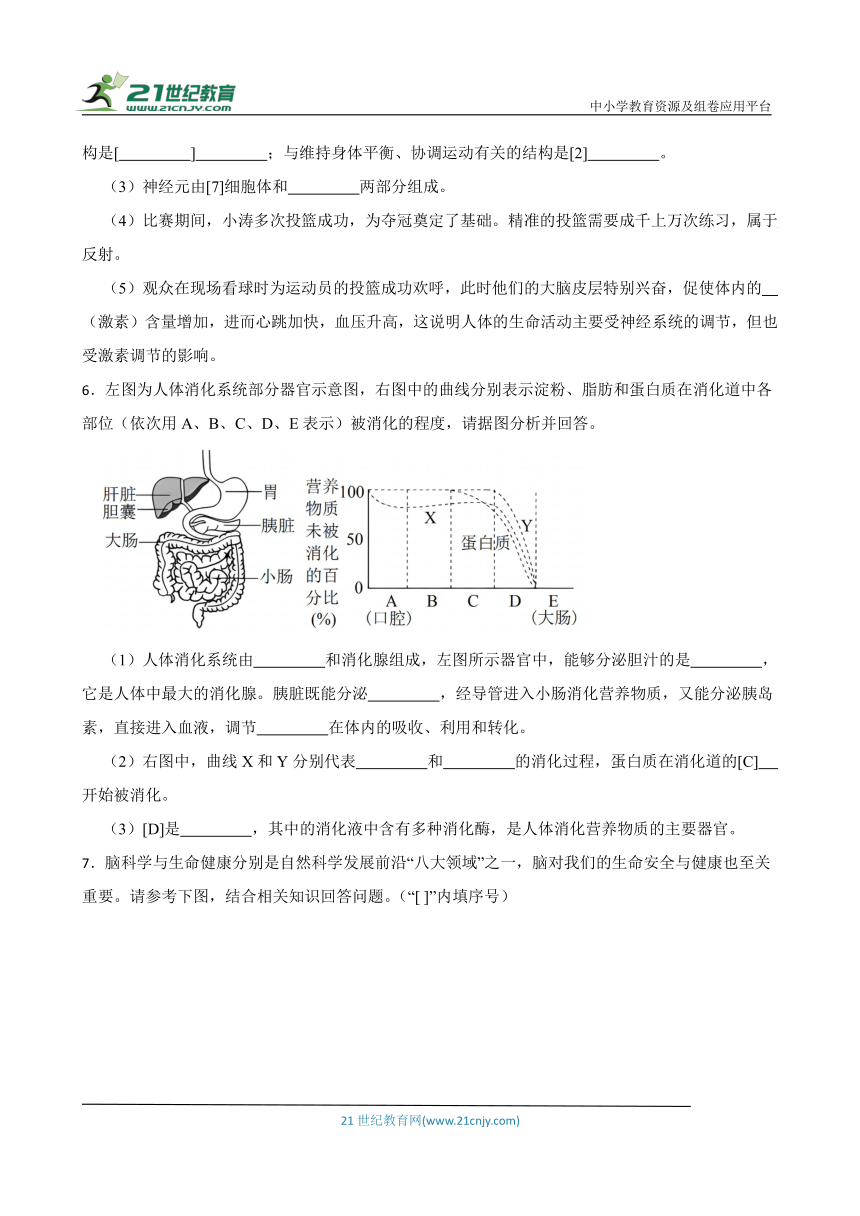 2024年中考生物读图理解专题复习：人体生命活动的调节（含答案）