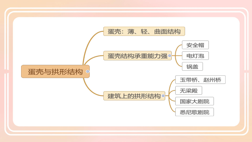 苏教版（2017秋）小学科学 第二单元 仿生 整理复习课件（共13张PPT）