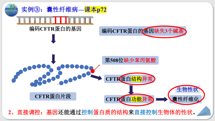 4.2基因表达与性状的关系课件(共70张PPT)-人教版必修2