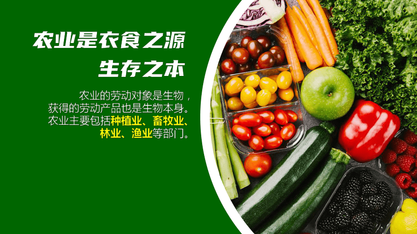 人教版地理 八年级上册第四章第二节 中国的农业  课件(32张PPT)