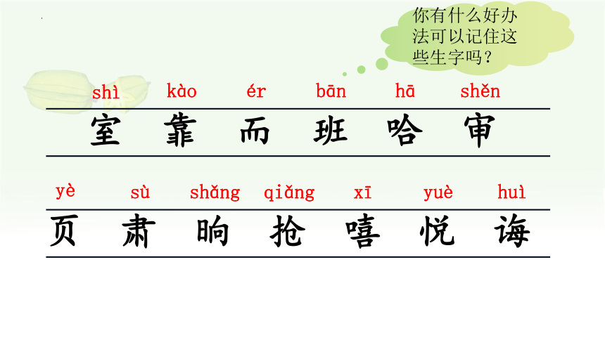 13 画杨桃 课件(共41张PPT)