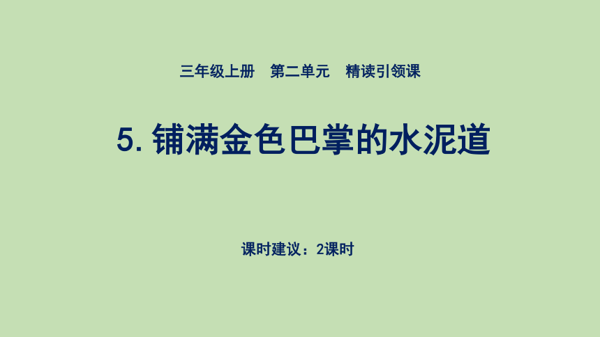 5 铺满金色巴掌的水泥道 课件(共25张PPT)