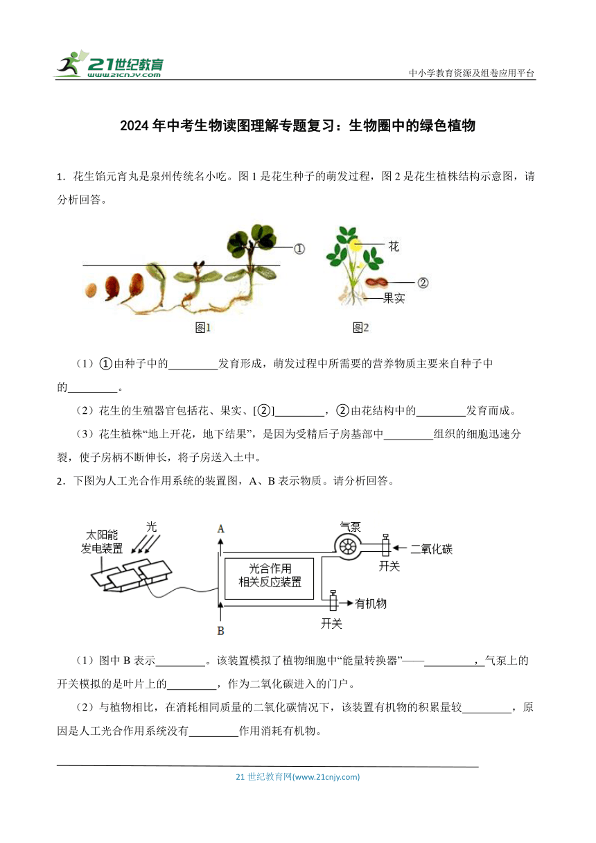 2024年中考生物读图理解专题复习：生物圈中的绿色植物（含答案）