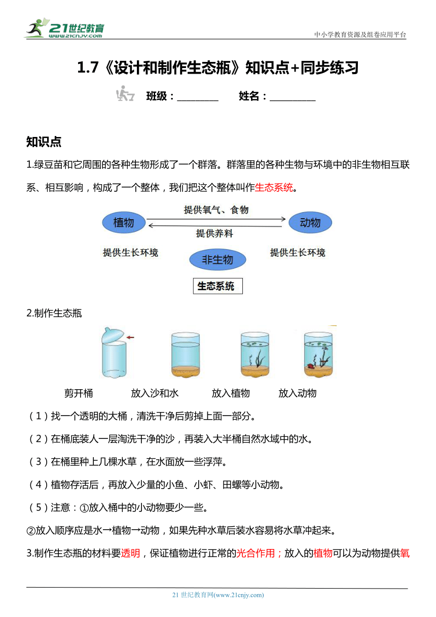 1.7《设计和制作生态瓶》知识点+同步练习（含答案）