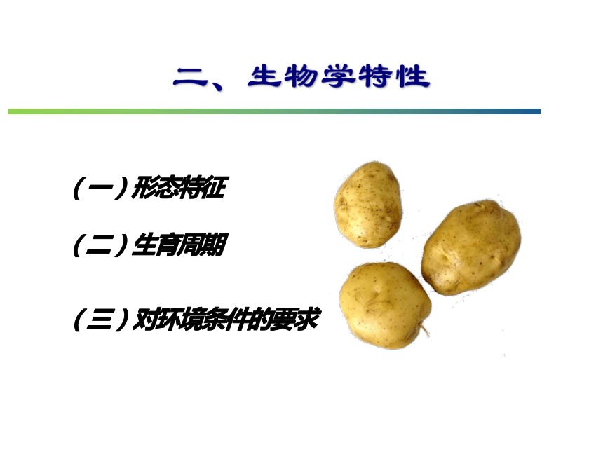 12.1 马铃薯 课件(共41张PPT)- 《蔬菜生产技术(南方本)》同步教学（中国农业大学出版社）