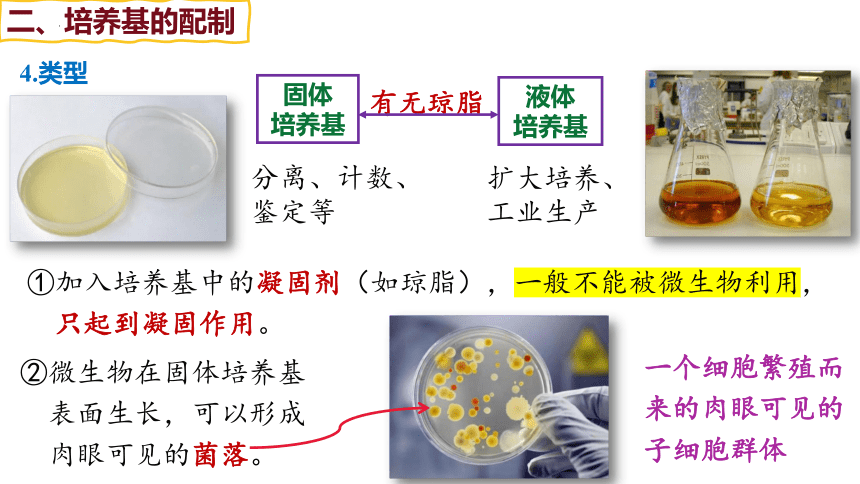 生物人教版（2019）选择性必修3 1.2微生物的培养技术及应用（共104张ppt）