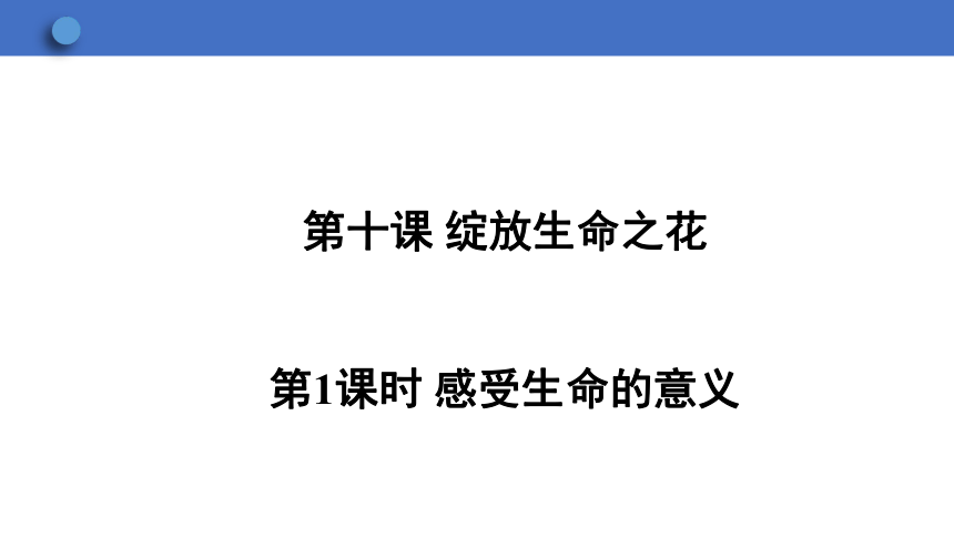 10.1 感受生命的意义  学案课件（32张幻灯片）   2023-2024学年初中道德与法治统编版七年级上册