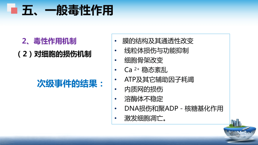 4食品安全性评价（2） 课件(共58张PPT)- 《食品安全与控制第五版》同步教学（大连理工版）