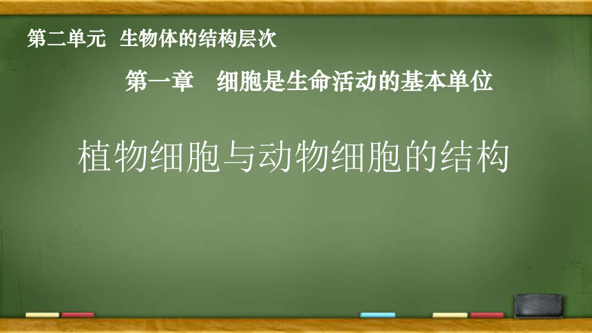 2.1.2 植物细胞与动物细胞课件(共28张PPT)人教版 七年级上册