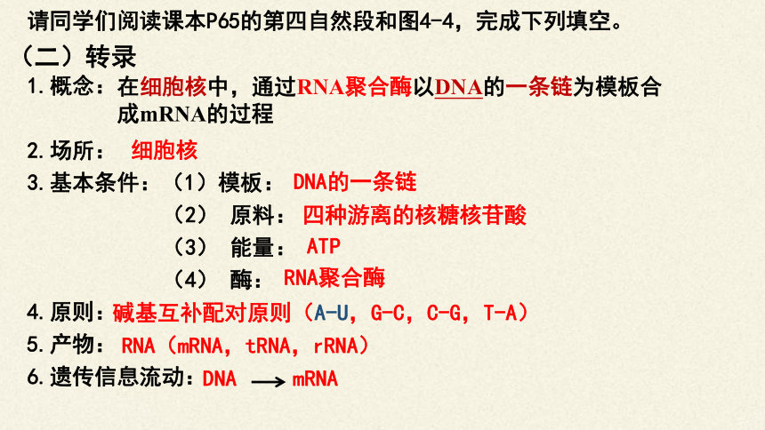 4.1基因指导蛋白质的合成课件（共46张PPT）-人教版必修2