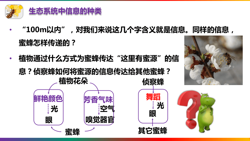 3.4生态系统的信息传递课件(共23张PPT)人教版2019选择性必修2