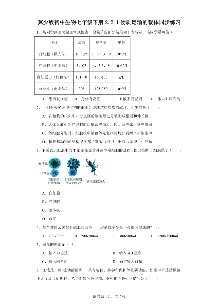 冀少版初中生物七年级下册2.2.1物质运输的载体同步练习（含答案）