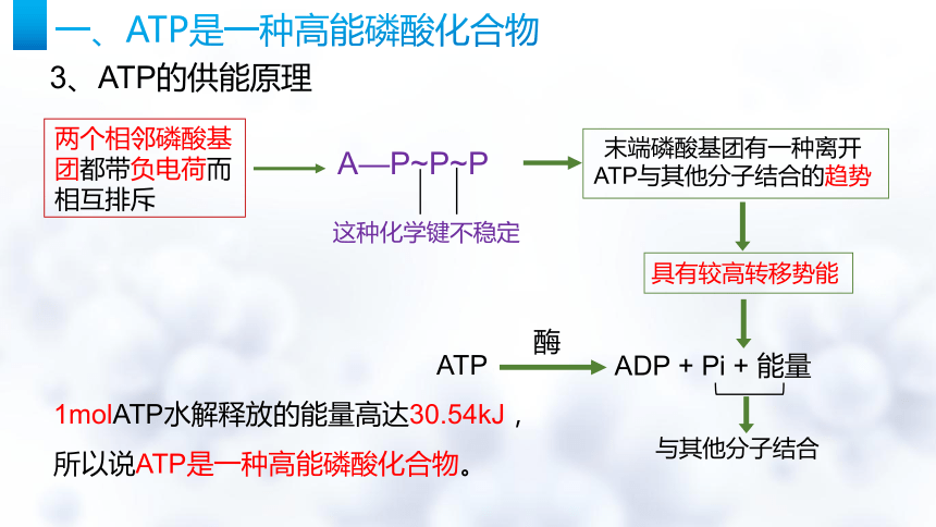 5.2细胞的能量“货币”ATP课件(共27张PPT)-人教版（2019）必修1