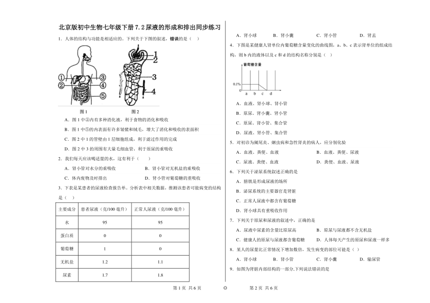 7.2 尿液的形成和排出同步练习（含答案）北京版初中生物七年级下册