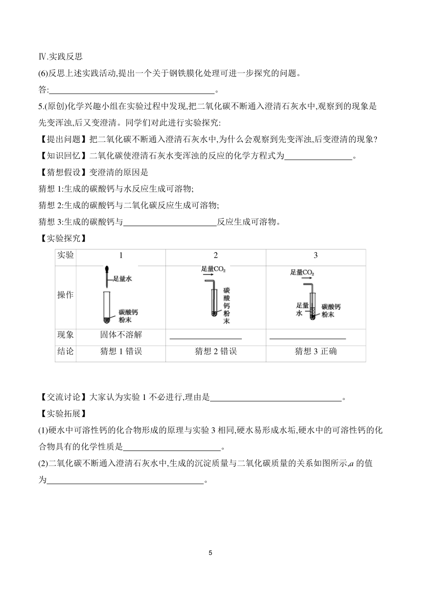 2024年中考化学总复习 特色专题专训 题型五　实验探究题 (含解析)