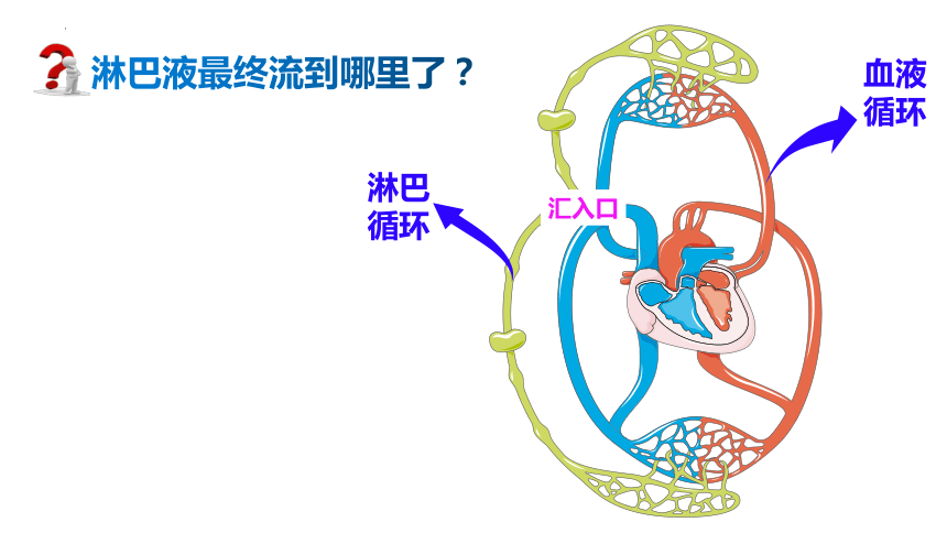 内环境图示图片