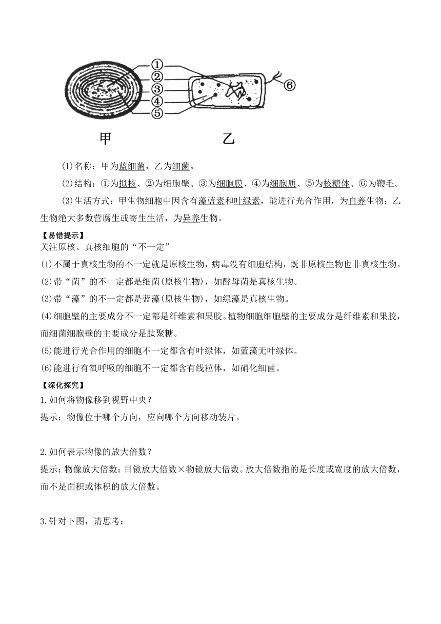 1.2细胞的多样性和统一性的学案（含答案）