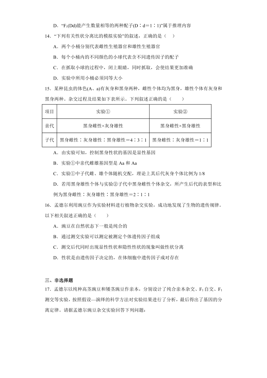 1.2.1分离定律（必刷练）-2023-2024学年高一生物（苏教版2019必修2）（含解析）