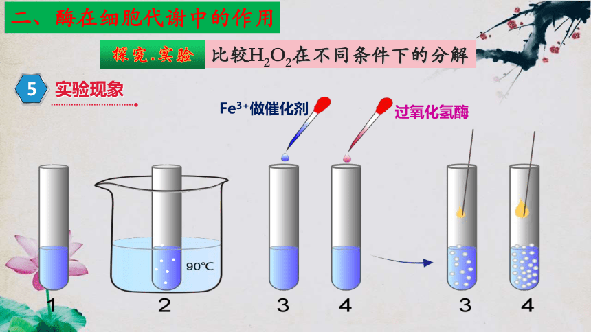 5.1 降低化学反应活化能的酶（第一课时）（共52张PPT4个视频）高一生物课件（人教版2019必修1）