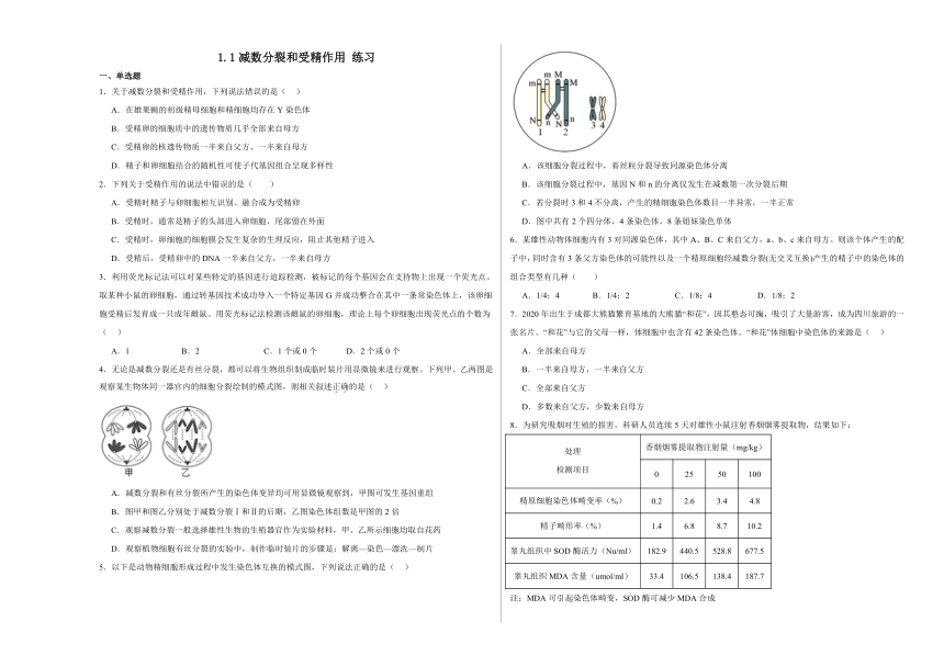 1.1减数分裂和受精作用 练习2023-2024学年高一下学期生物苏教版必修2（含解析）