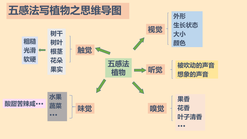 统编版语文三年级下册五感法写作之植物 课件(共22张PPT)