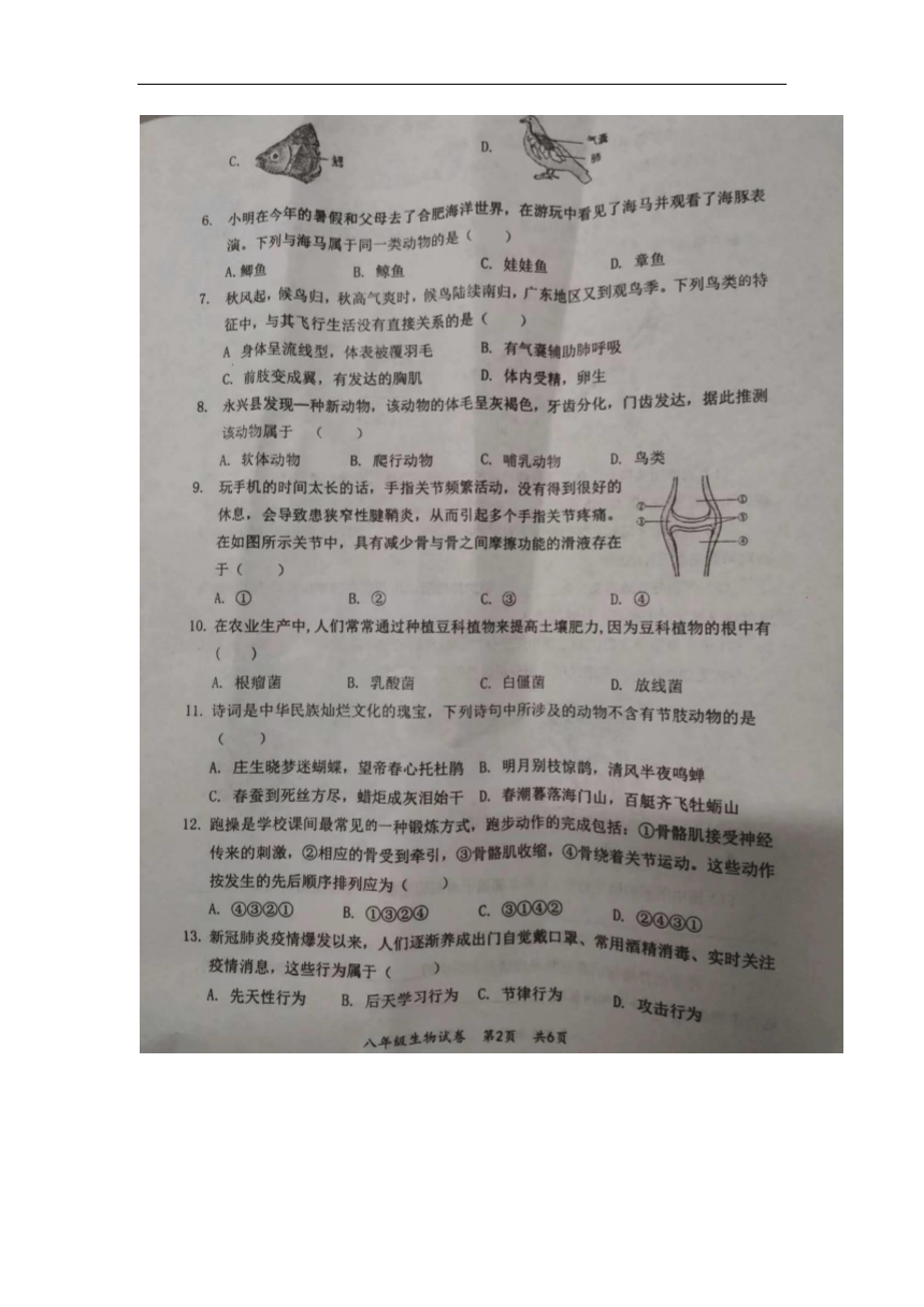 安徽省安庆市太湖县2023-2024学年上学期期末教学质量监测八年级生物试题（图片版无答案）
