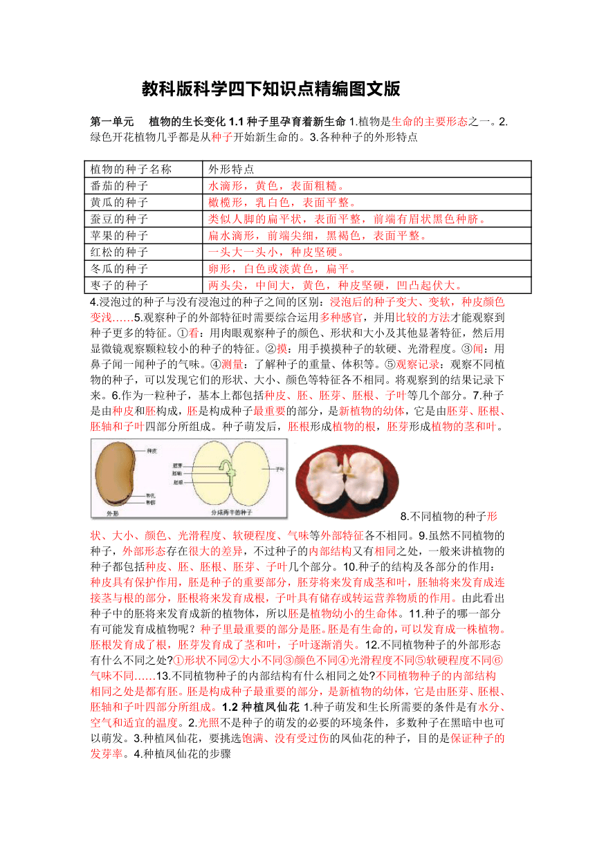 教科版科学四下知识点精编图文版