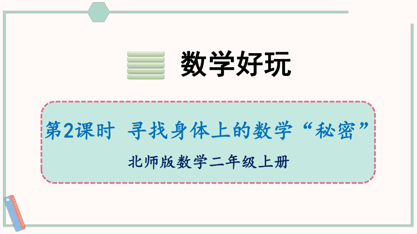 北师大版数学二年级上册数学好玩2 寻找身体上的数学“秘密”课件（19张PPT)