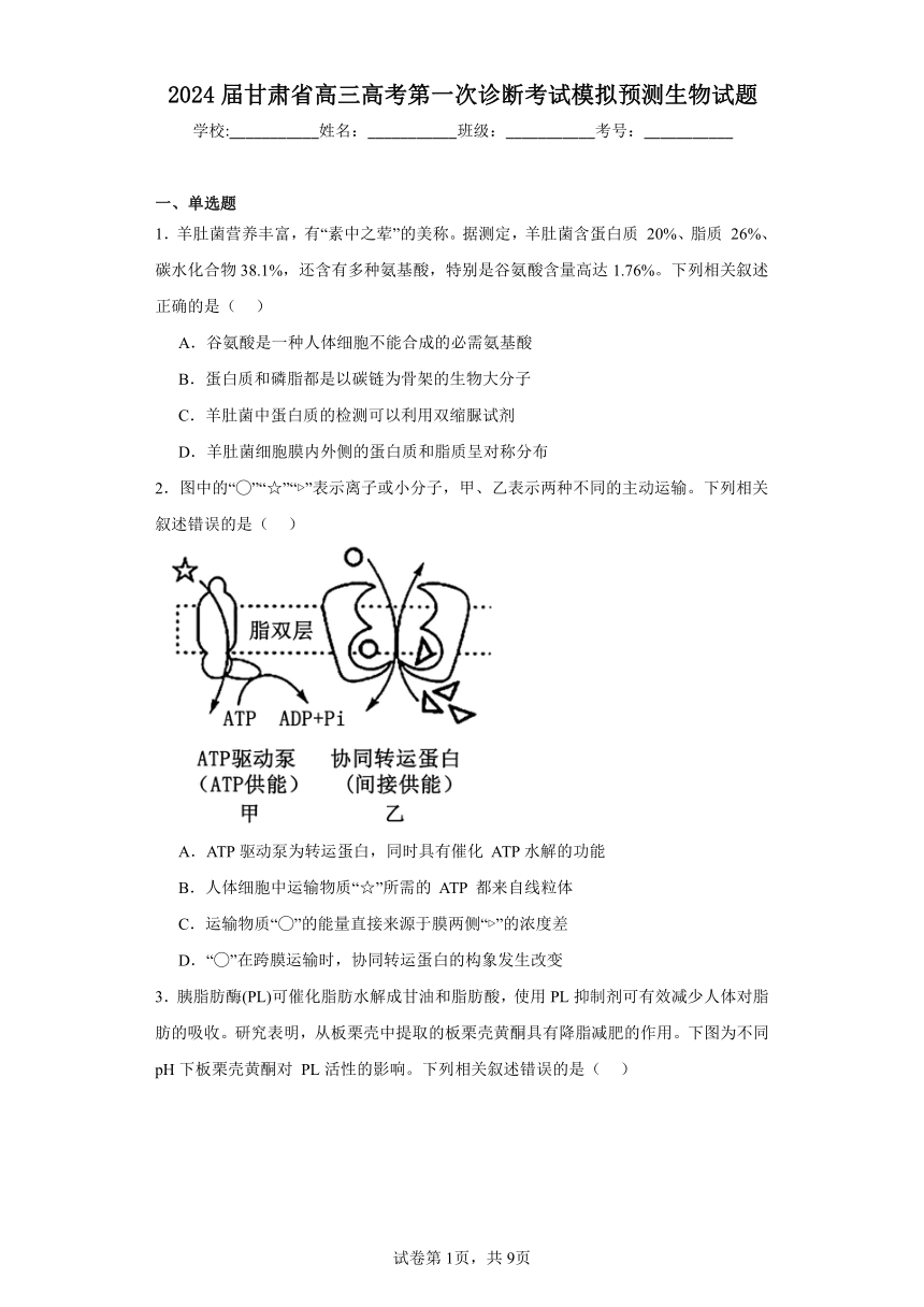 2024届甘肃省高三高考第一次诊断考试模拟预测生物试题（解析版）