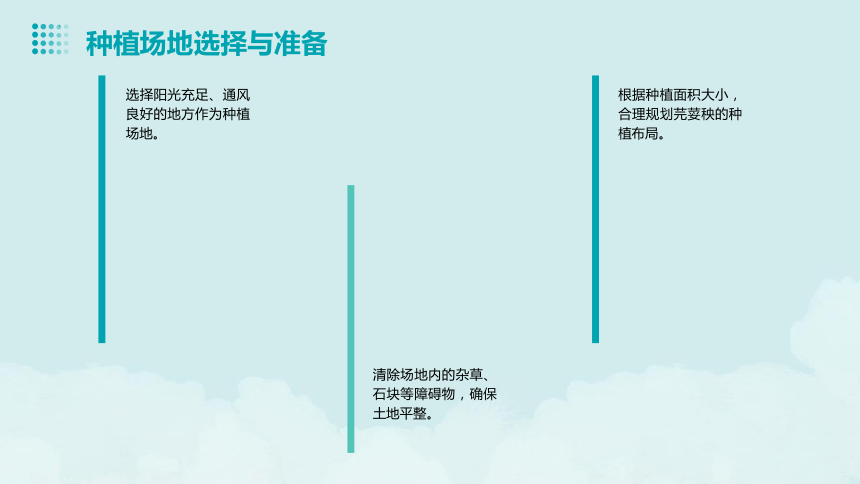 1.芫荽秧快长大（课件）-人民版劳动一下同步高效备课