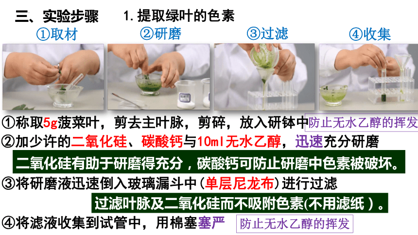 5.4.1捕获光能的色素和结构课件(37张1个视频)-人教版必修1