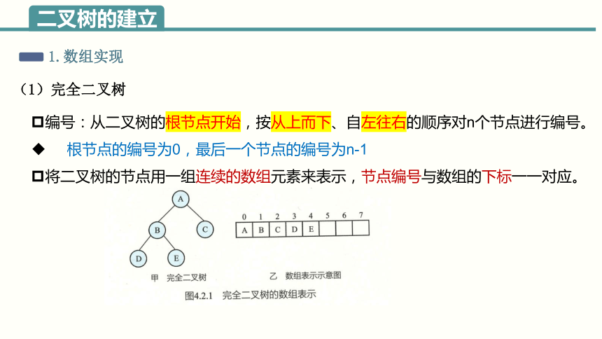 4.2 二叉树操作 4.3抽象数据类型 课件(共37张PPT)2023—2024学年浙教版（2019）高中信息技术选修1