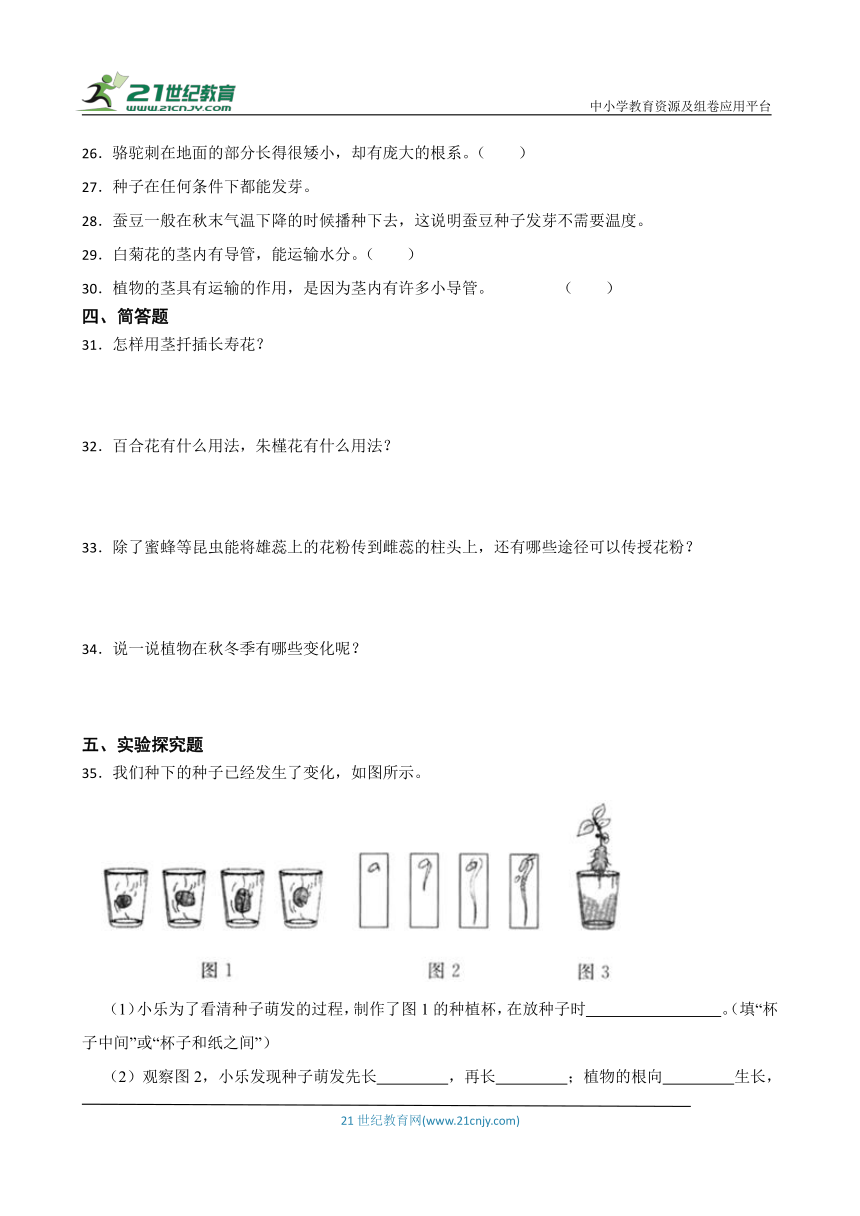 苏教版三年级下册科学第一单元《植物的一生》综合训练（含答案解析）