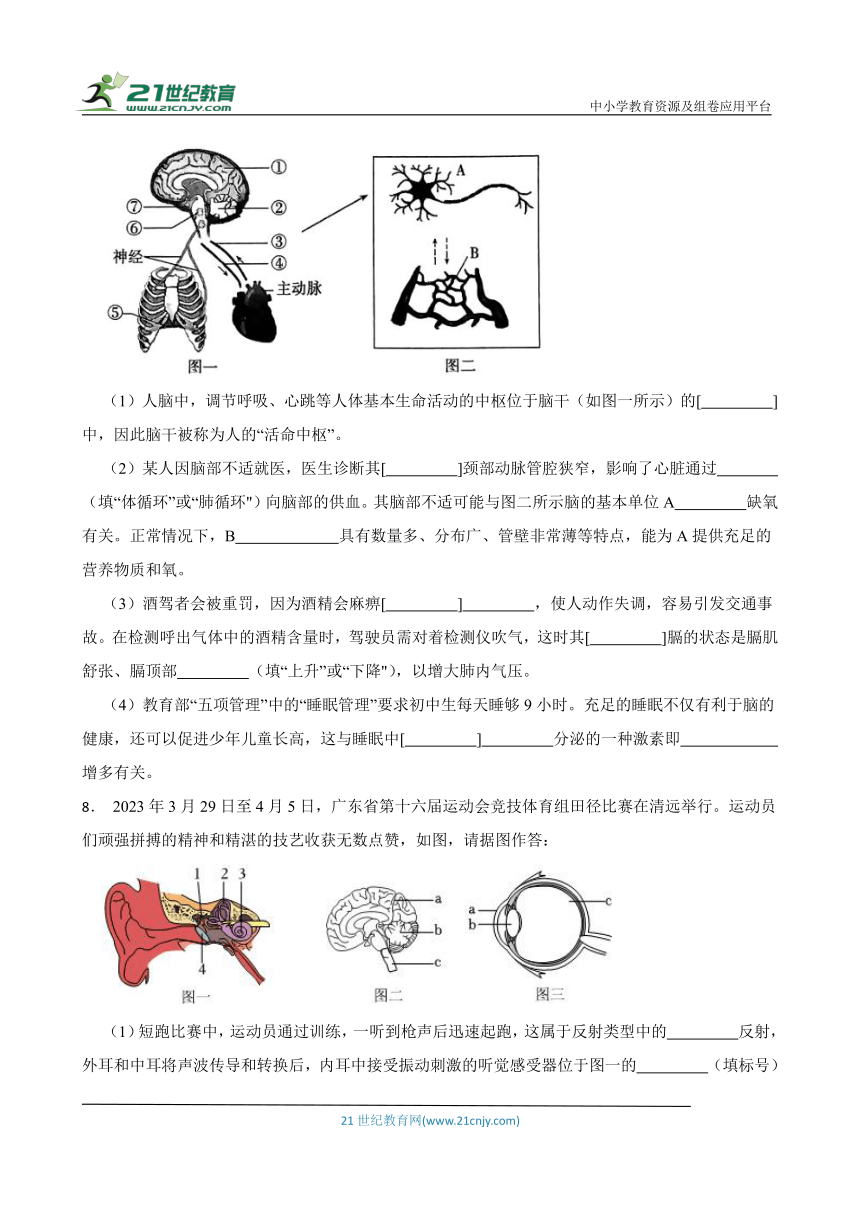 2024年中考生物读图理解专题复习：人体生命活动的调节（含答案）