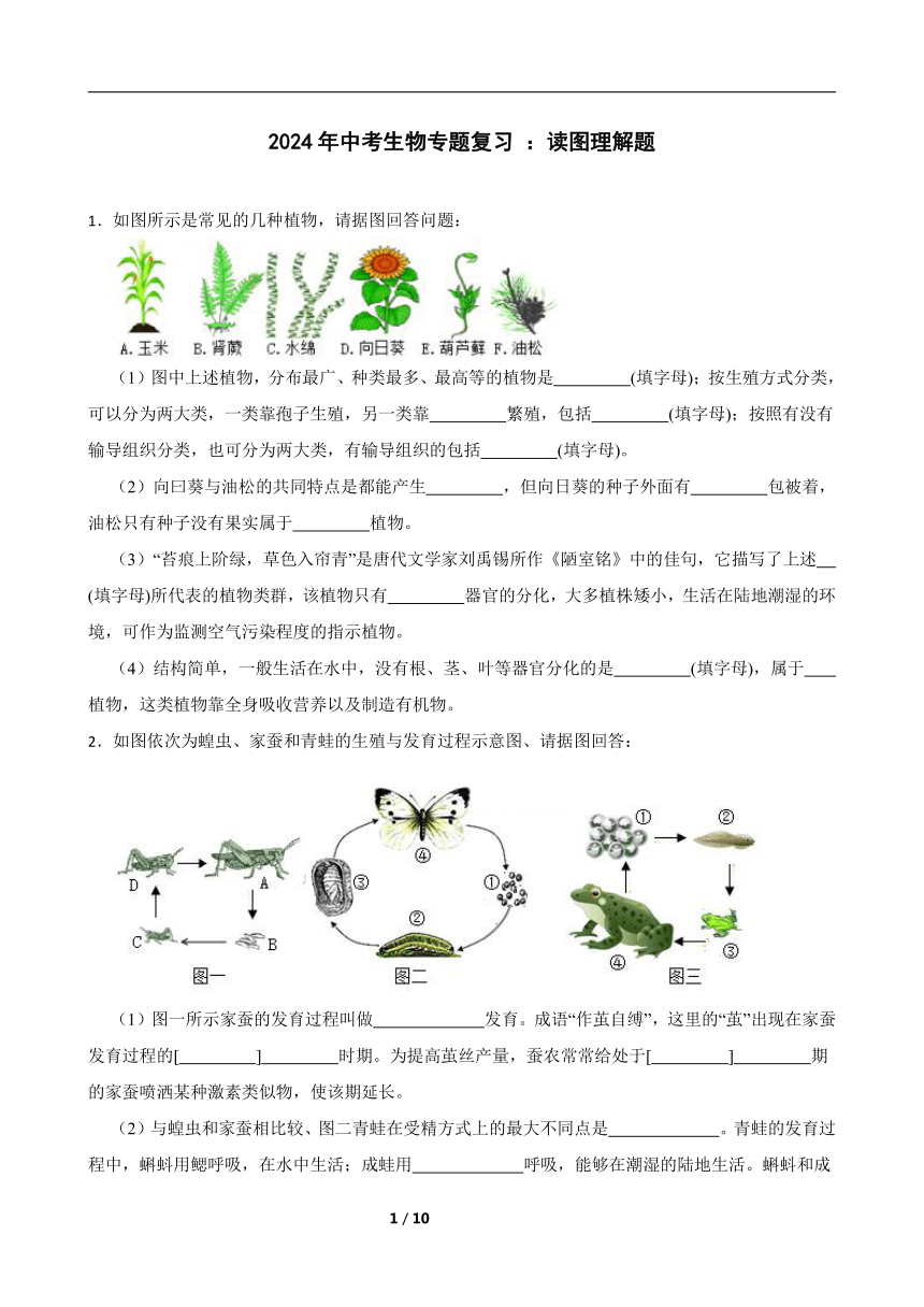 2024年中考生物专题复习 ：读图理解题）含答案