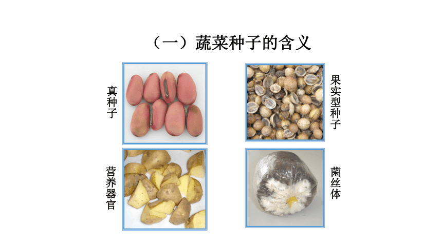 2.1.1蔬菜种子浸种处理 课件(共65张PPT)-《蔬菜生产技术》同步教学（中国农业出版社）