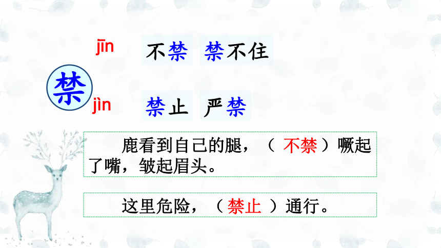 7.《鹿角和鹿腿》 课件(共33张PPT)