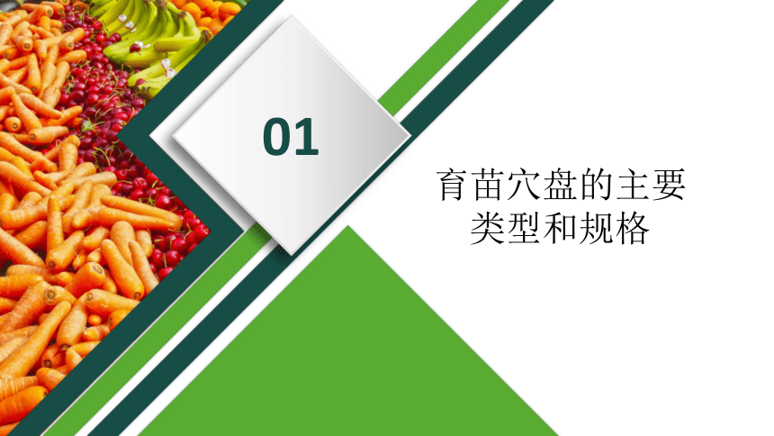 2.3蔬菜播种 课件(共35张PPT)-《蔬菜生产技术》同步教学（中国农业出版社）
